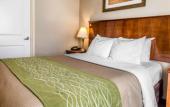Туры в отель Avion Inn Near LGA Airport, an Ascend Collection Hotel Туры в отель Avion Inn Near LGA Airport, an Ascend Collection Hotel