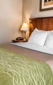Туры в отель Avion Inn Near LGA Airport, an Ascend Collection Hotel Туры в отель Avion Inn Near LGA Airport, an Ascend Collection Hotel
