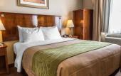 Туры в отель Avion Inn Near LGA Airport, an Ascend Collection Hotel Туры в отель Avion Inn Near LGA Airport, an Ascend Collection Hotel