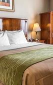 Туры в отель Avion Inn Near LGA Airport, an Ascend Collection Hotel Туры в отель Avion Inn Near LGA Airport, an Ascend Collection Hotel
