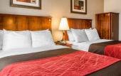 Туры в отель Avion Inn Near LGA Airport, an Ascend Collection Hotel Туры в отель Avion Inn Near LGA Airport, an Ascend Collection Hotel