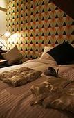 Туры в отель Hotel Haru Туры в отель Hotel Haru