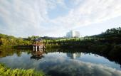 Туры в отель Seogwipo KAL Hotel Туры в отель Seogwipo KAL Hotel