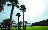 Туры в отель Seogwipo KAL Hotel Туры в отель Seogwipo KAL Hotel