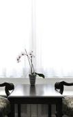 Туры в отель Hotel Ambrose Туры в отель Hotel Ambrose