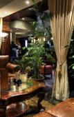 Туры в отель Hotel Nelligan Туры в отель Hotel Nelligan