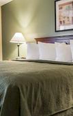 Туры в отель Quality Inn & Suites Tampa near Fairgrounds and Casino Туры в отель Quality Inn & Suites Tampa near Fairgrounds and Casino