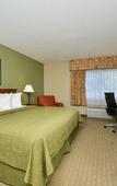 Туры в отель Quality Inn & Suites Tampa near Fairgrounds and Casino Туры в отель Quality Inn & Suites Tampa near Fairgrounds and Casino