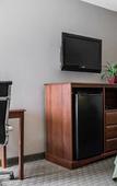 Туры в отель Quality Inn & Suites Tampa near Fairgrounds and Casino Туры в отель Quality Inn & Suites Tampa near Fairgrounds and Casino