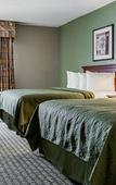 Туры в отель Quality Inn & Suites Tampa near Fairgrounds and Casino Туры в отель Quality Inn & Suites Tampa near Fairgrounds and Casino