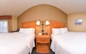 Туры в отель Hampton Inn & Suites Tampa East (Casino Area) Туры в отель Hampton Inn & Suites Tampa East (Casino Area)