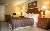 Туры в отель Rodeway Inn Near Ybor City - Casino Туры в отель Rodeway Inn Near Ybor City - Casino