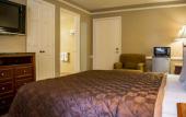 Туры в отель Rodeway Inn Near Ybor City - Casino Туры в отель Rodeway Inn Near Ybor City - Casino