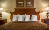 Туры в отель Rodeway Inn Near Ybor City - Casino Туры в отель Rodeway Inn Near Ybor City - Casino