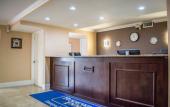 Туры в отель Rodeway Inn Near Ybor City - Casino Туры в отель Rodeway Inn Near Ybor City - Casino