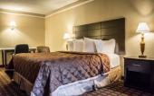 Туры в отель Rodeway Inn Near Ybor City - Casino Туры в отель Rodeway Inn Near Ybor City - Casino