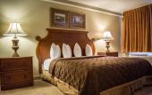 Туры в отель Rodeway Inn Near Ybor City - Casino Туры в отель Rodeway Inn Near Ybor City - Casino