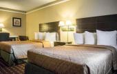 Туры в отель Rodeway Inn Near Ybor City - Casino Туры в отель Rodeway Inn Near Ybor City - Casino