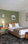 Туры в отель OYO Waterfront Hotel - Cape Coral/Fort Myers, FL Туры в отель OYO Waterfront Hotel - Cape Coral/Fort Myers, FL