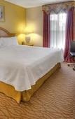 Туры в отель Homewood Suites by Hilton - Fort Myers Туры в отель Homewood Suites by Hilton - Fort Myers