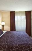 Туры в отель Staybridge Suites Tampa East - Brandon by IHG Туры в отель Staybridge Suites Tampa East - Brandon by IHG