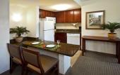 Туры в отель Staybridge Suites Tampa East - Brandon by IHG Туры в отель Staybridge Suites Tampa East - Brandon by IHG