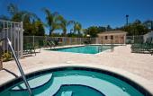 Туры в отель Staybridge Suites Tampa East - Brandon by IHG Туры в отель Staybridge Suites Tampa East - Brandon by IHG