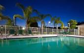 Туры в отель Staybridge Suites Tampa East - Brandon by IHG Туры в отель Staybridge Suites Tampa East - Brandon by IHG