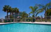 Туры в отель Staybridge Suites Tampa East - Brandon by IHG Туры в отель Staybridge Suites Tampa East - Brandon by IHG