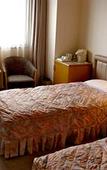 Туры в отель Urayasu Beaufort Hotel Туры в отель Urayasu Beaufort Hotel