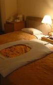 Туры в отель Urayasu Beaufort Hotel Туры в отель Urayasu Beaufort Hotel