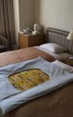 Туры в отель Urayasu Beaufort Hotel Туры в отель Urayasu Beaufort Hotel