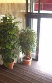 Туры в отель Hotel Arcobaleno Туры в отель Hotel Arcobaleno