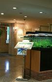 Туры в отель Nagoya Garden Palace Туры в отель Nagoya Garden Palace