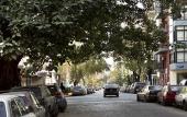 Туры в отель Color Botanico Туры в отель Color Botanico