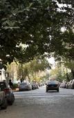 Туры в отель Color Botanico Туры в отель Color Botanico