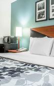 Туры в отель Sleep Inn Amherst - Buffalo North near University Туры в отель Sleep Inn Amherst - Buffalo North near University