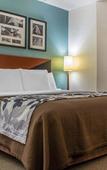 Туры в отель Sleep Inn Amherst - Buffalo North near University Туры в отель Sleep Inn Amherst - Buffalo North near University