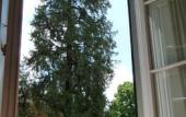 Туры в отель Classic Hotel Туры в отель Classic Hotel