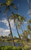 Туры в отель Waikoloa Beach Marriott Resort & Spa Туры в отель Waikoloa Beach Marriott Resort & Spa