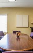 Туры в отель Quality Inn & Suites CVG Airport Туры в отель Quality Inn & Suites CVG Airport