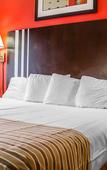 Туры в отель Rodeway Inn Macarthur Airport Туры в отель Rodeway Inn Macarthur Airport