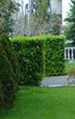 Туры в отель Hotel Platon Туры в отель Hotel Platon