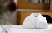 Туры в отель Olympion Hotel Туры в отель Olympion Hotel