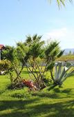 Туры в отель Iztuzu Apart & Villas Туры в отель Iztuzu Apart & Villas