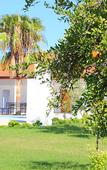 Туры в отель Iztuzu Apart & Villas Туры в отель Iztuzu Apart & Villas