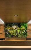 Туры в отель HOTEL illuster - Urban & Local Туры в отель HOTEL illuster - Urban & Local