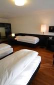 Туры в отель HOTEL illuster - Urban & Local Туры в отель HOTEL illuster - Urban & Local