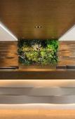Туры в отель HOTEL illuster - Urban & Local Туры в отель HOTEL illuster - Urban & Local