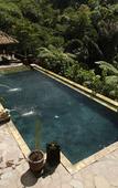 Туры в отель Bagus Jati Health & Well Being Retreat Туры в отель Bagus Jati Health & Well Being Retreat